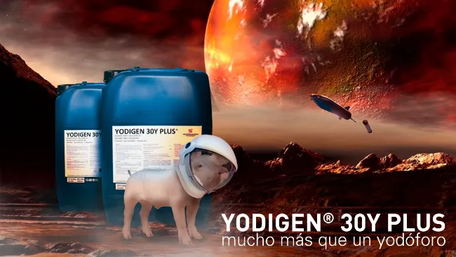 Estudio YODIGEN ® 30Y-PLUS- Parte III: Efectividad e indicaciones para el uso de YODIGEN ® 30Y-PLUS