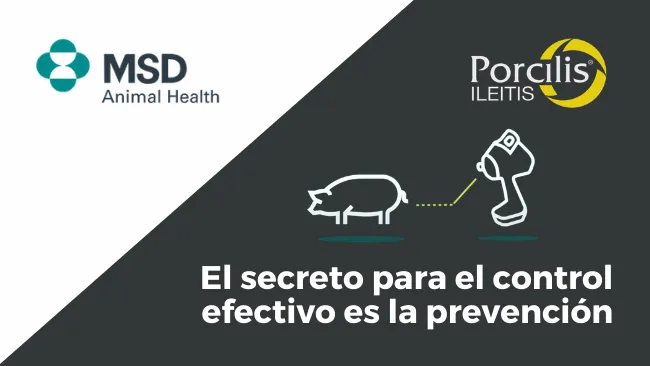 Prevención de Ileítis