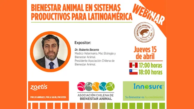 Webinar: "Bienestar Animal en sistemas productivos para Latinoamérica"