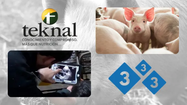 Teknal se une a la comunidad de 333