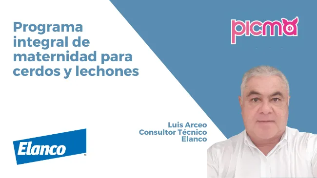  Importancia del buen manejo de las cerdas y sus camadas en la fase de maternidad