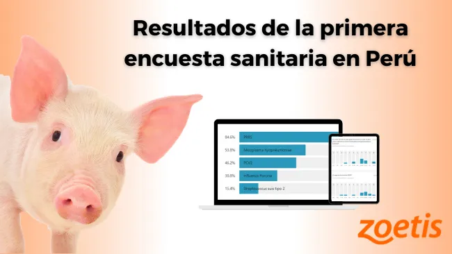 Resultados de la primera encuesta sobre la gestión sanitaria porcina en Perú