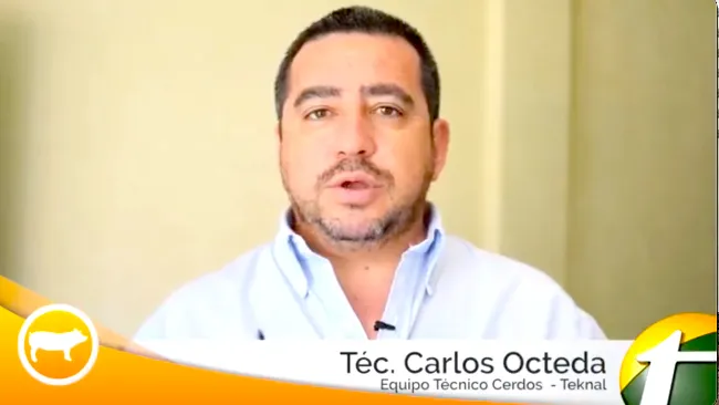 Carlos Octeda, nos enseña un consejo para el destete de lechones.