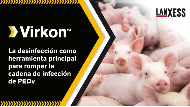 La desinfección como herramienta principal para romper la cadena de infección de PEDv
