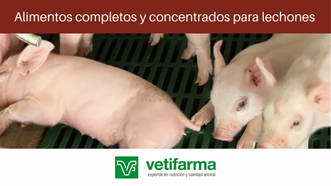 Alimentos para fase recría