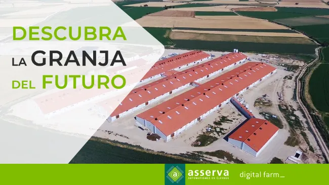 Grangenia & Asserva – Innovando en Bioseguridad, Bienestar & Sostenibilidad