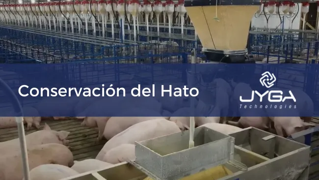 Examinar la retención del hato reconsiderando el desarrollo de las primerizas.