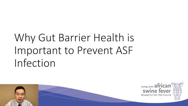 Living With ASF 2;  Why gut barrier health is important to prevent ASF infection. by Dr. Yanbin Shen