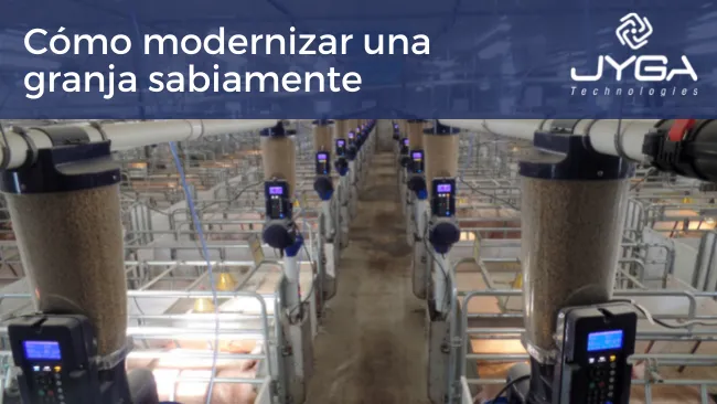 Modernización de una granja de cerdas respetando un presupuesto. 8 estrategias para economizar.  