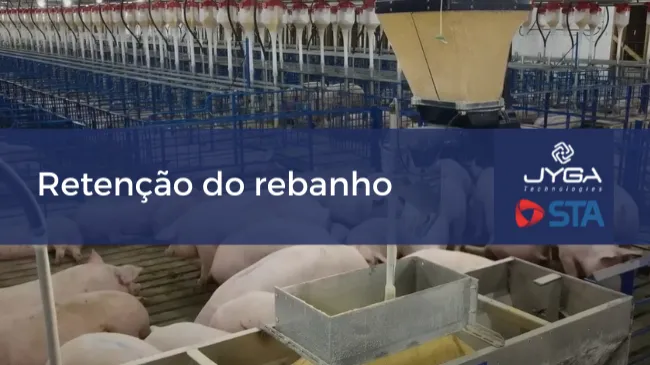 Examinar a retenção de rebanho repensando o desenvolvimento das marrãs