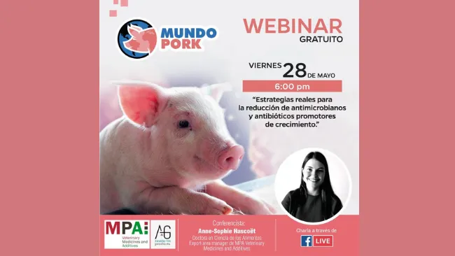 Webinar: "Estrategias para la reducción de antimicrobianos y antibióticos promotores de crecimiento"