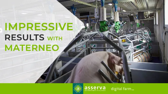 Impressive results with Materneo in a Spanish farm