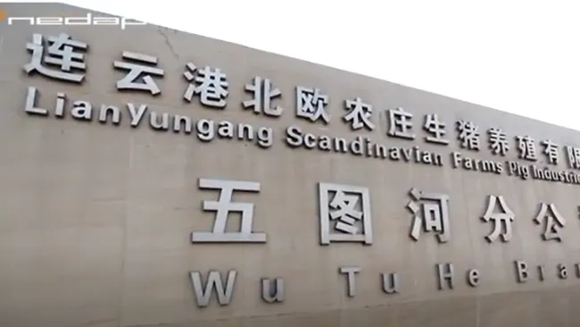 Scandinavian Farms in Jiangsu, China