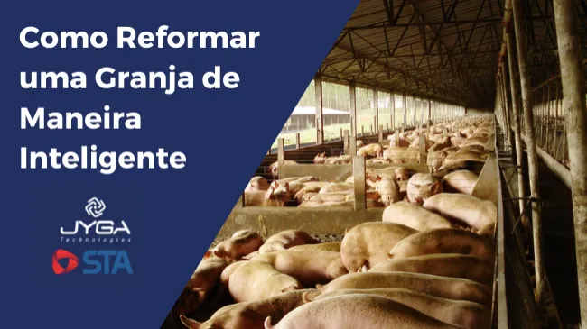 Como reformar uma granja de suínos de maneira Inteligente e seguir um orçamento devido