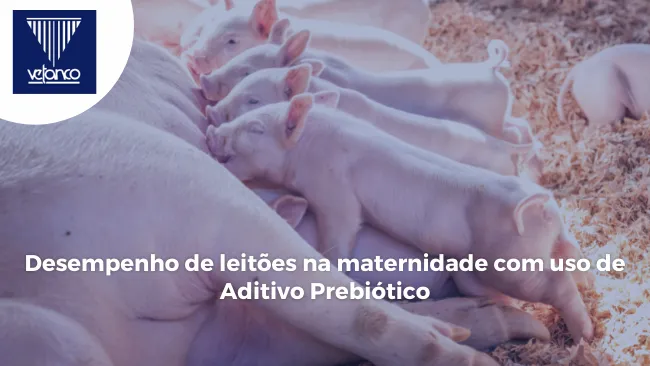 Desempenho de leitões na maternidade com uso de Aditivo Prebiótico