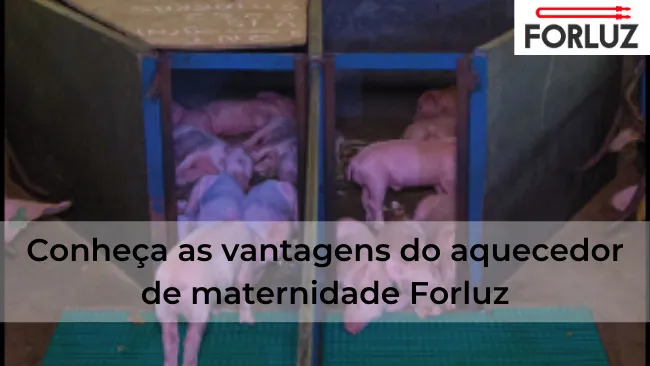 Conheça as vantagens do aquecedor de maternidade da Forluz
