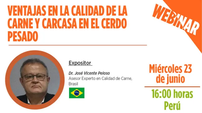 [Webinar] Ventajas de la calidad de la carne y carcasa en el cerdo pesado