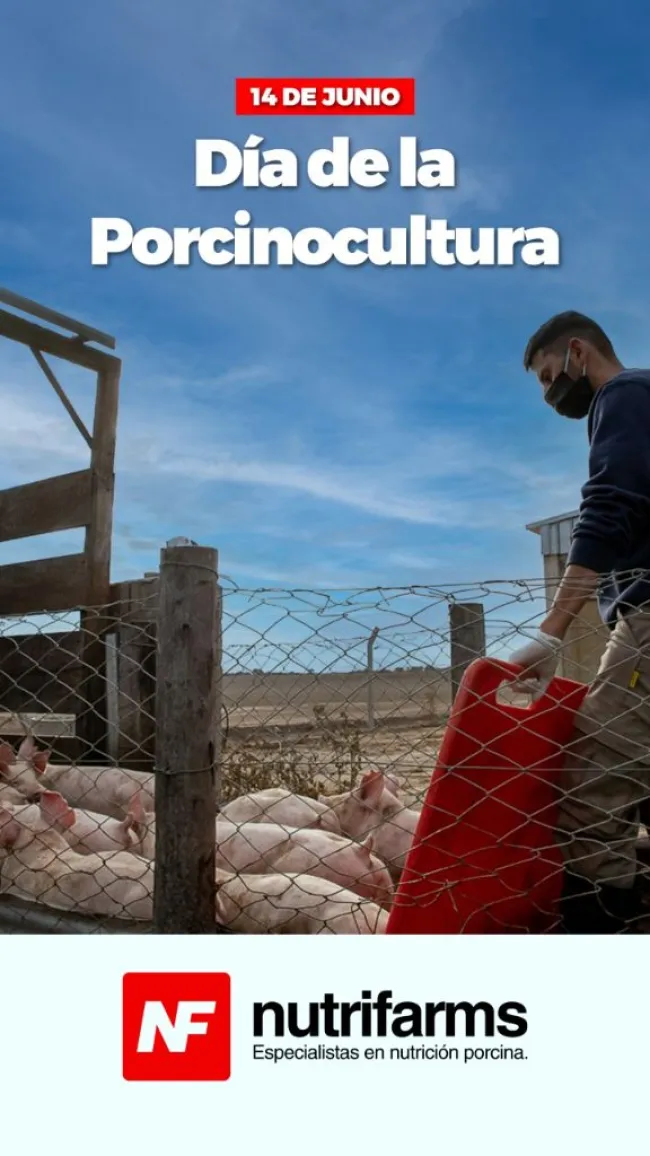 DÍA DE LA PORCICULTURA 🐖