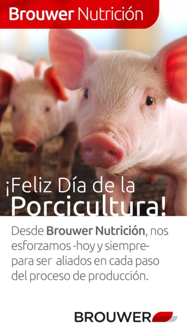 ¡¡FELIZ DÍA DE LA PORCICULTURA!!🍾