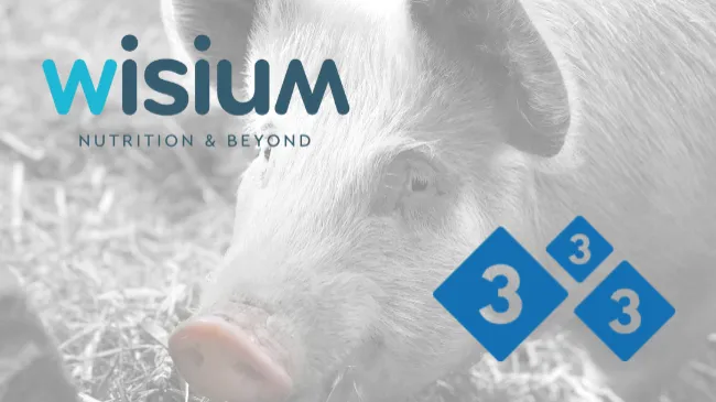 Wisium se une a la comunidad de 333