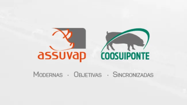 Gerando valor e resultados para cadeia suinícola, Assuvap/Coosuiponte reafirma o propósito em transf