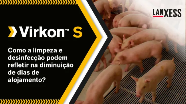Como a limpeza e desinfecção podem refletir na diminuição de dias de alojamento?