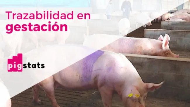 Trazabilidad en gestación: ¿Podemos mejorar?