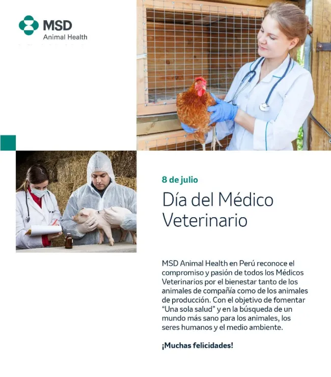 MSD Animal Health saluda a todos los médicos veterinarios del Perú e...