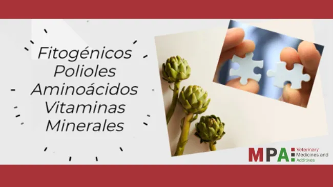 HepatoActive: protector hepático que ayuda a los procesos de detoxificación