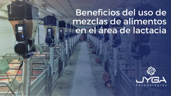 Mezcla de alimentos en el parto: una solución en la alimentación