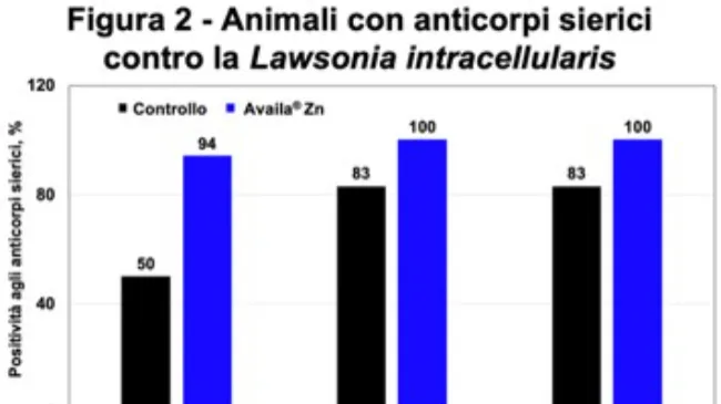 Combate l'ileite con l'immunità prodotta da Availa Zn
