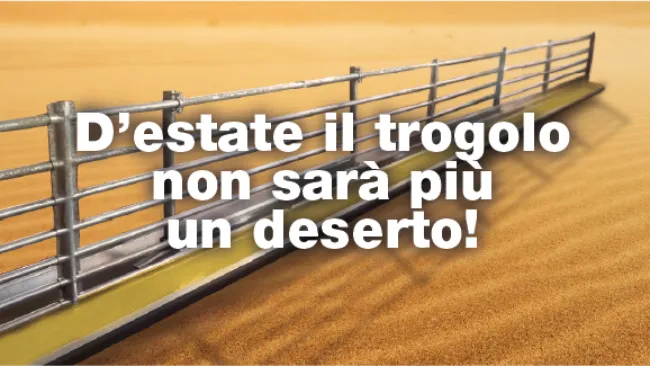 COMBATTI LO STRESS DA CALDO CON SUMMER BALANCE 2.0
