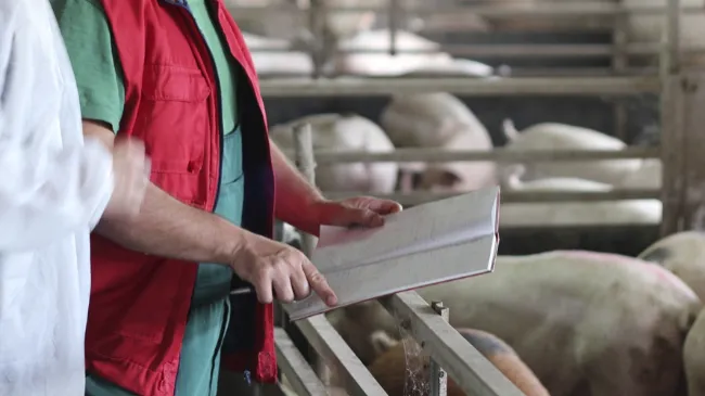 Consideraciones sobre el número de trabajadores en granja