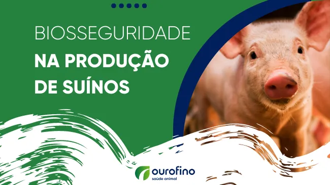 E-book: Biosseguridade na produção de suínos