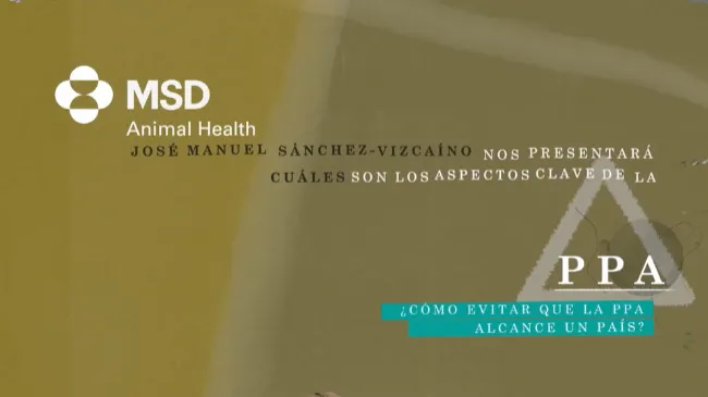 ¿Cómo evitar que la peste porcina africana alcance un país?