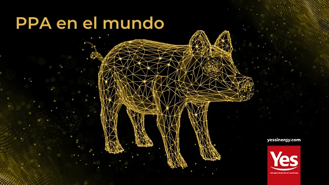 ¿Sabías que Yes tiene una solución que ayuda a aumentar la inmunidad de los cerdos?