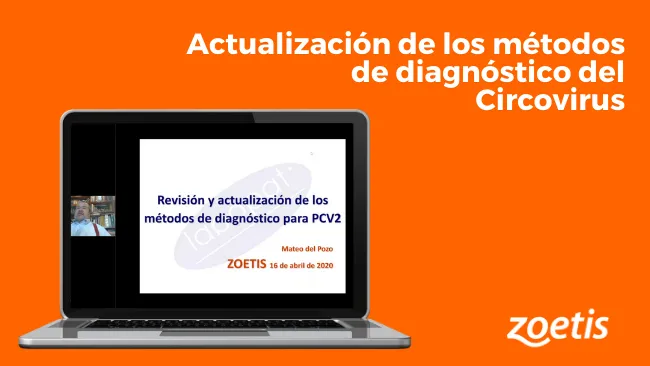 Actualización de los métodos de diagnóstico del Circovirus