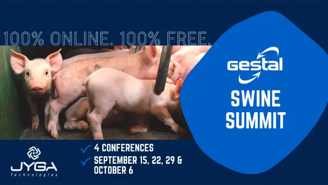 Jyga Technologies organiza cuatro conferencias exclusivas para los productores de carne de cerdo