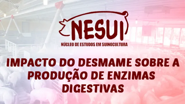 IMPACTO DO DESMAME SOBRE A PRODUÇÃO DE ENZIMAS DIGESTIVAS