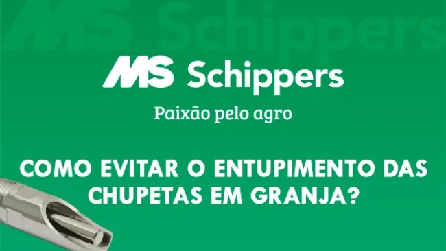 Como evitar o entupimento das chupetas em granja?