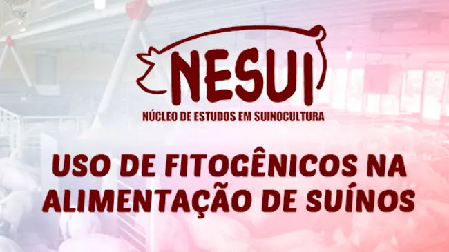 Uso de fitogênicos na alimentação de suínos