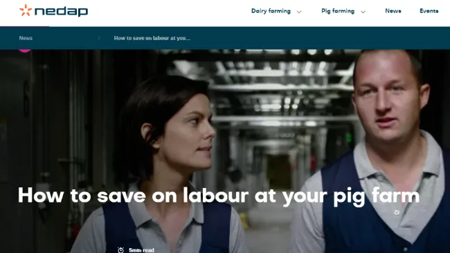 How to save on labour at your pig farm