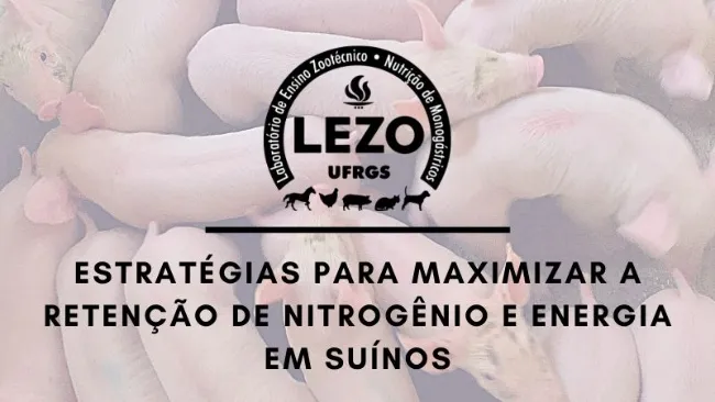 ESTRATÉGIAS PARA MAXIMIZAR A RETENÇÃO DE NITROGÊNIO E ENERGIA EM SUÍNOS