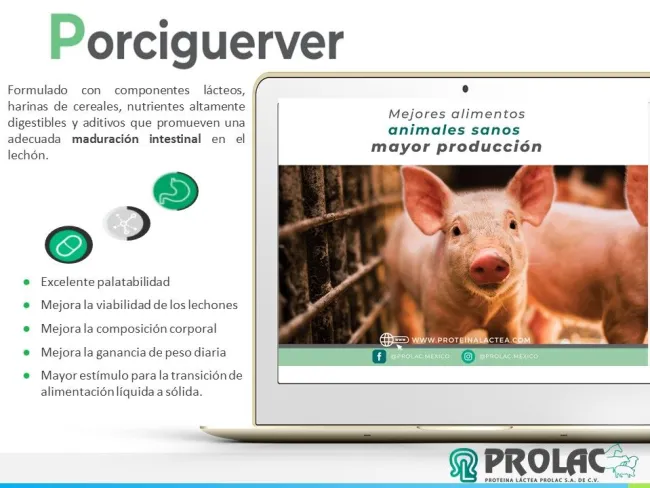 Porciguerver es un alimento altamente palatable que promueve el consum...