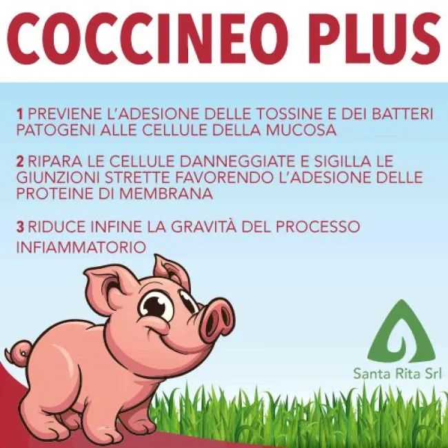 Conosci Coccineo? Il supplemento orale per i suinetti che ti fa salvar...