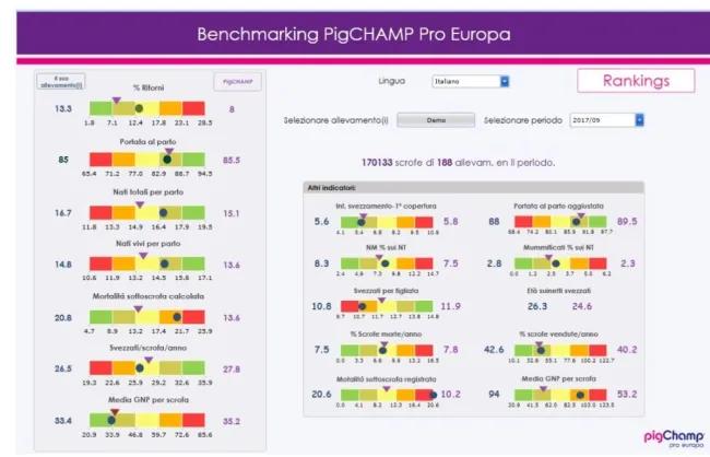 PigChamp ti offre semestralmente un'analisi di Benchmarking tra tutti ...