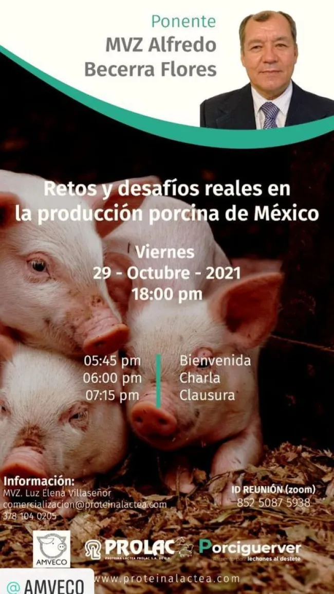 Tema: Plática-"Retos y desafíos reales en la producción porcina en ...