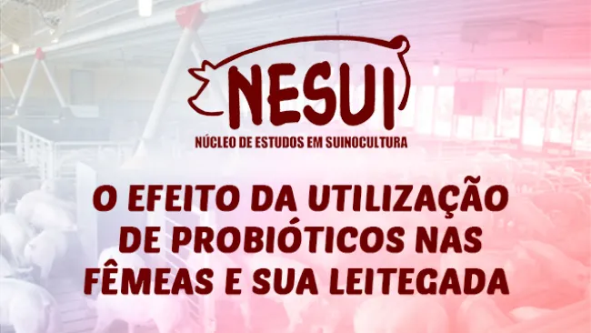 O EFEITO DA UTILIZAÇÃO DE PROBIÓTICOS NAS FÊMEAS E SUA LEITEGADA 