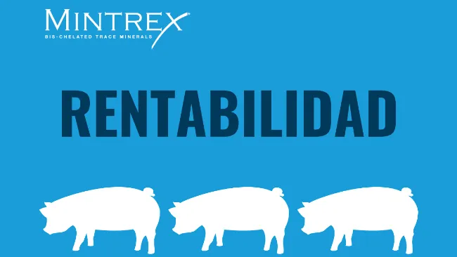 Rentabilidad en cerdas