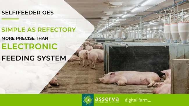 SELFIFEEDER GES - Easy and efficient ESF station